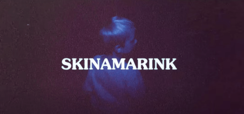 Скинамаринк 2022
