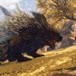 Демоверсия Wild Hearts