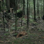 фильм глушь