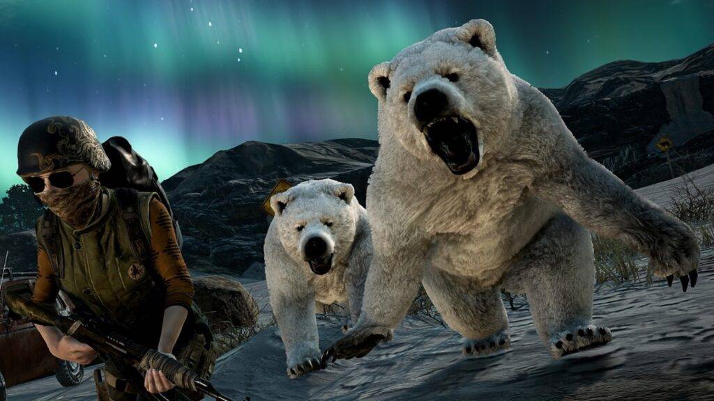 PUBG björnar