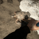 Как добывать воду в Sons of the Forest