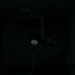 Amanda the Adventurer