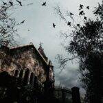 Похититель драгоценностей Resident Evil 4