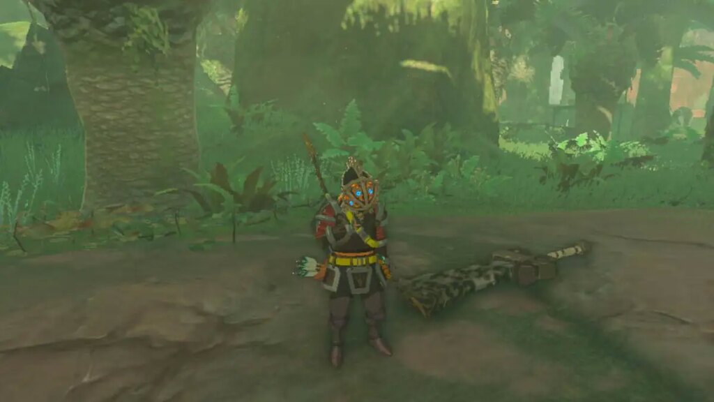 оружие Tears of the Kingdom