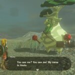 Улучшение хранилища в Zelda