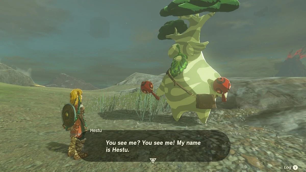 Zelda Tears of the Kingdom Zelda Tears of the Kingdom